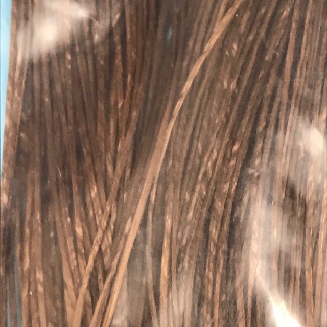 MFC Sexi Floss - The Trout Spot