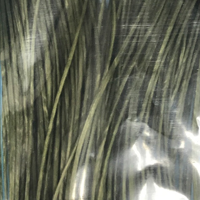 MFC Sexi Floss - The Trout Spot