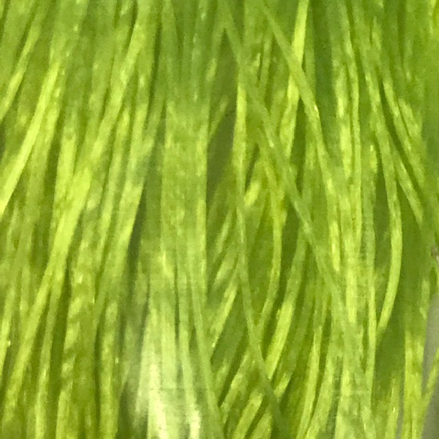 MFC Sexi Floss - The Trout Spot