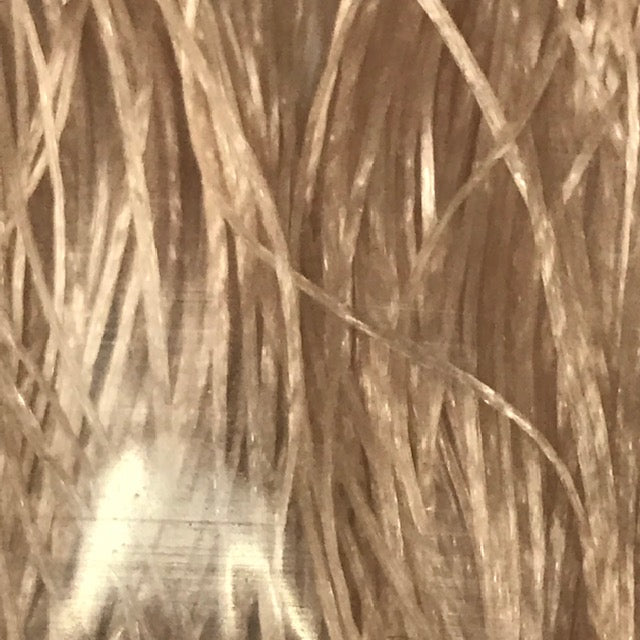 MFC Sexi Floss - The Trout Spot