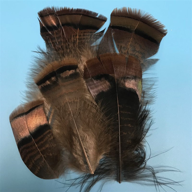 Ozark Iridescent Turkey Tail Natural - The Trout Spot