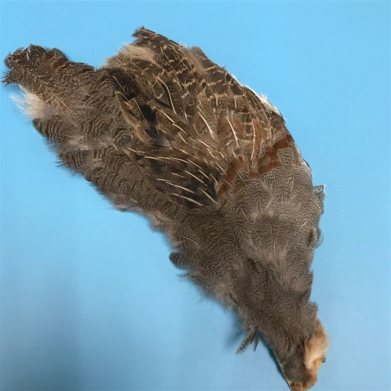 Hungarian Partridge Half Skin Natural Grade #1 - The Trout Spot