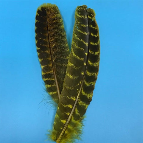 Ozark Turkey Quill Barred - The Trout Spot