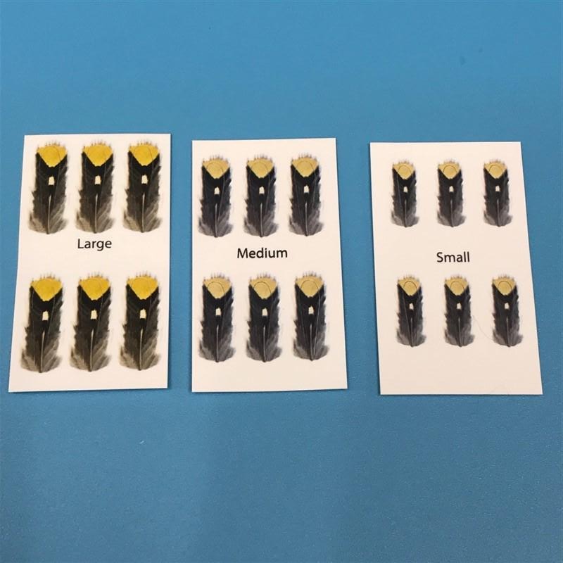 Jungle Cock Imitation Eyes - The Trout Spot