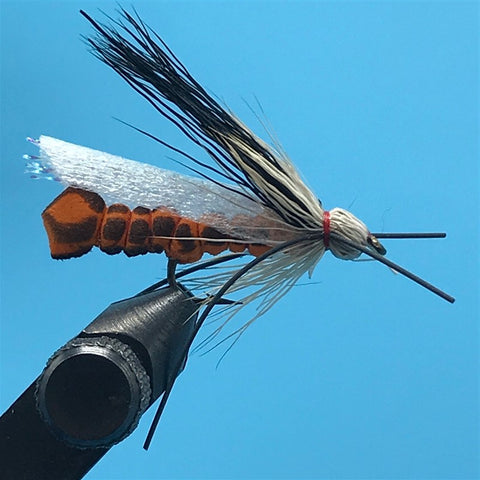 South Fork Stone - The Trout Spot