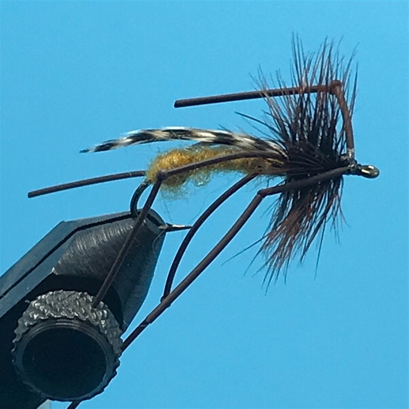 Crane Fly - The Trout Spot