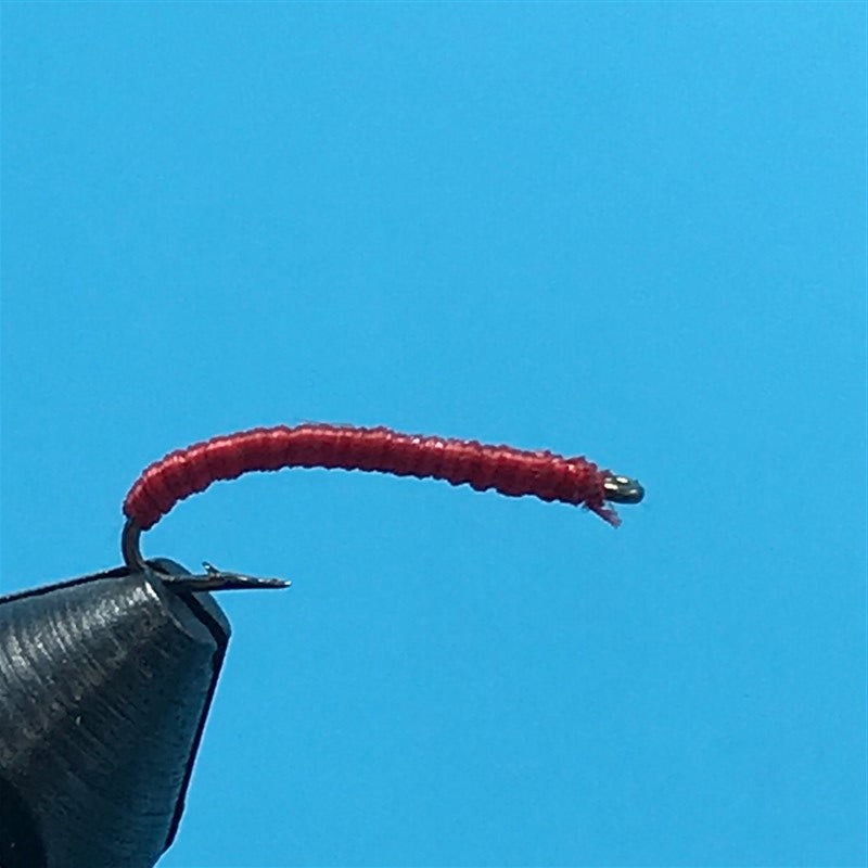Blood Worm - The Trout Spot