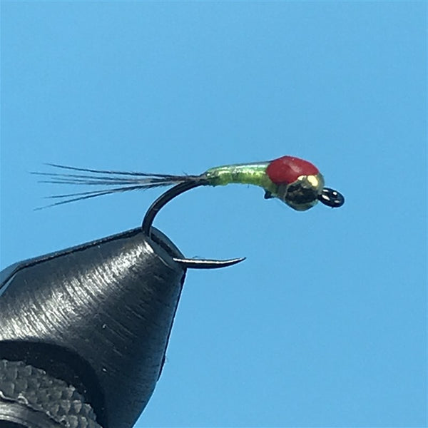 Rogers Reapers No Name Perdigon #5 - The Trout Spot