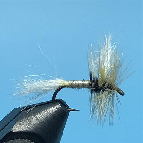 White Wulff - The Trout Spot