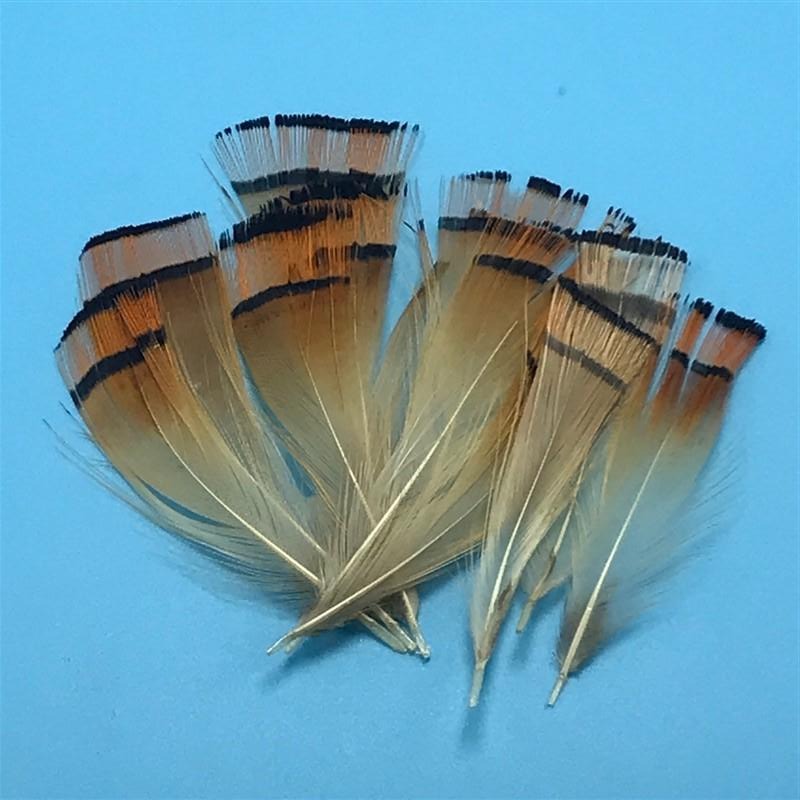 Golden Pheasant Tippets - The Trout Spot