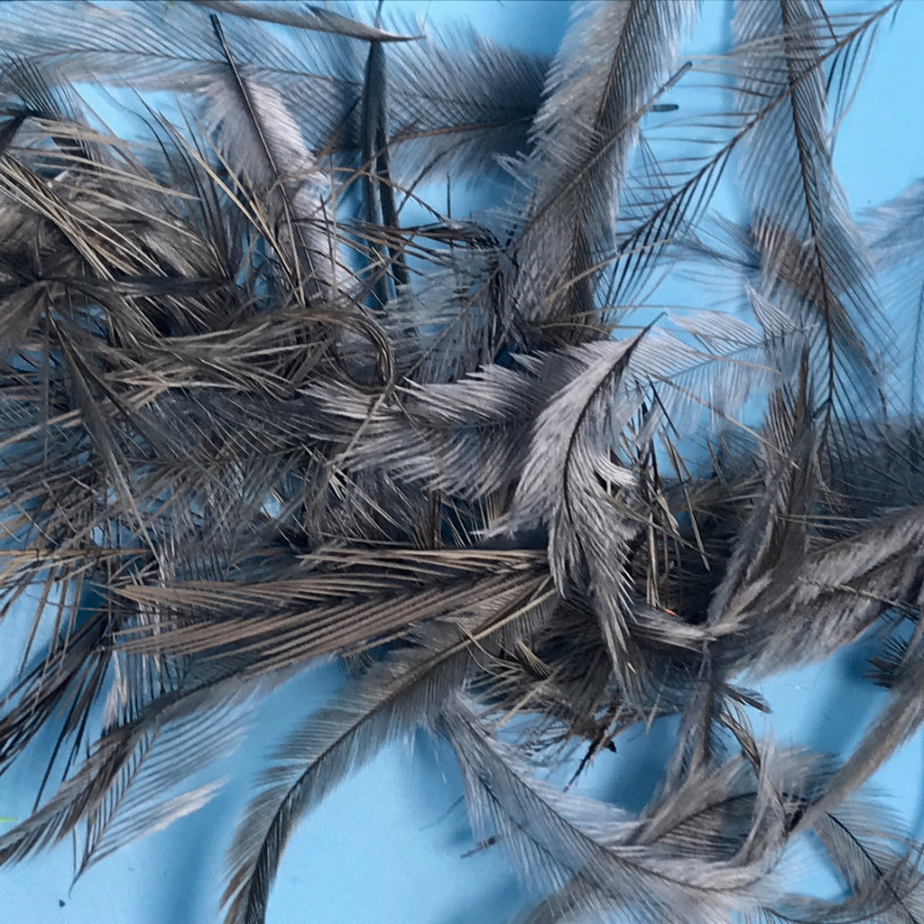 Emu Feathers UV Charcoal Grey - The Trout Spot