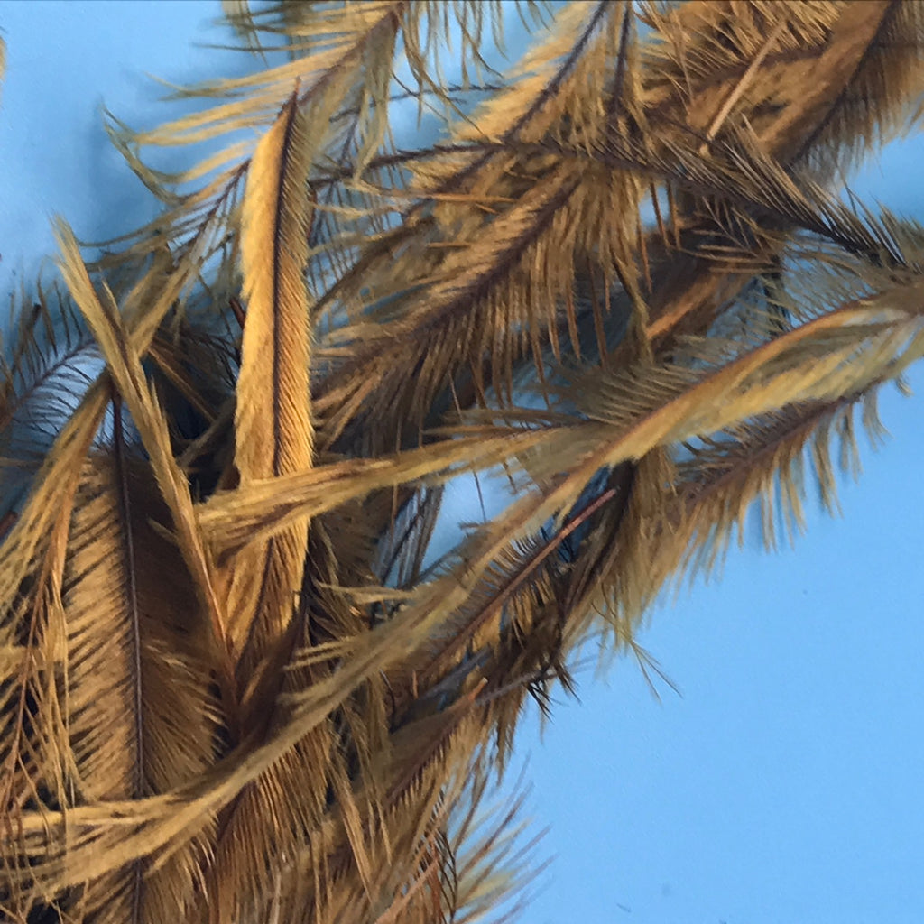 Emu Feathers UV Gold - The Trout Spot