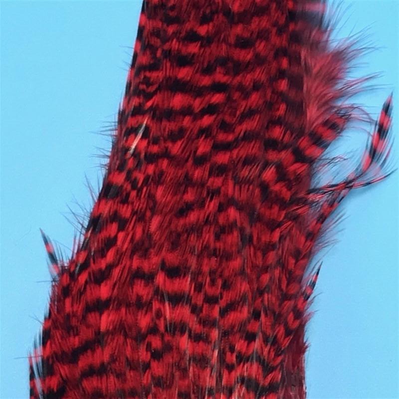 Waspi Ewing Grizzly Half Capes Red - The Trout Spot