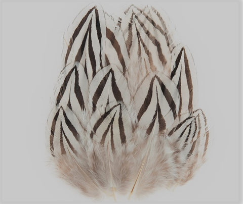 Silver Pheasant Cheeks - The Trout Spot