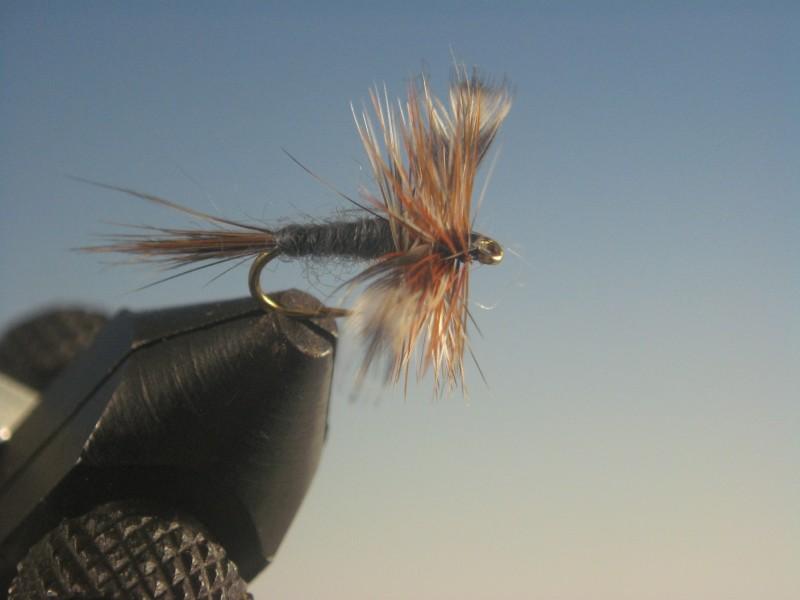 Adams Spent Wing - The Trout Spot