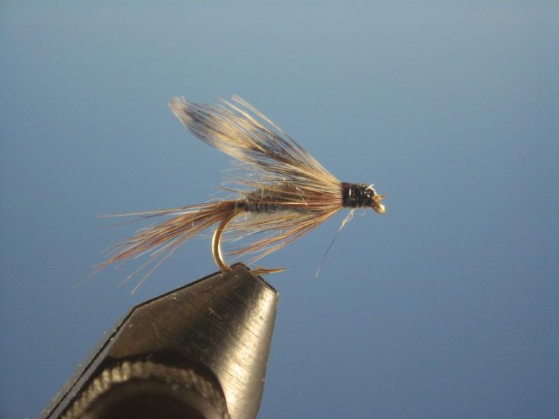 Adams Wet Fly - The Trout Spot