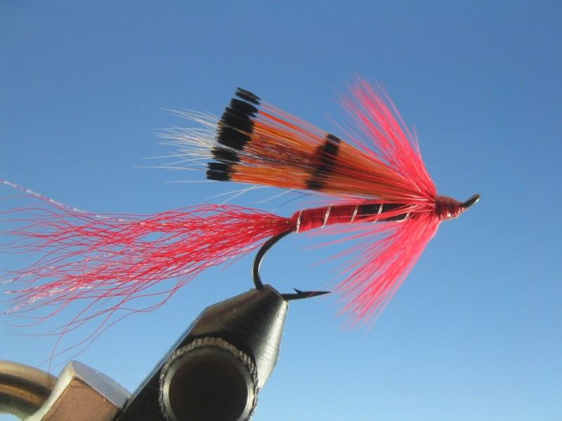 Allys Shrimp - The Trout Spot