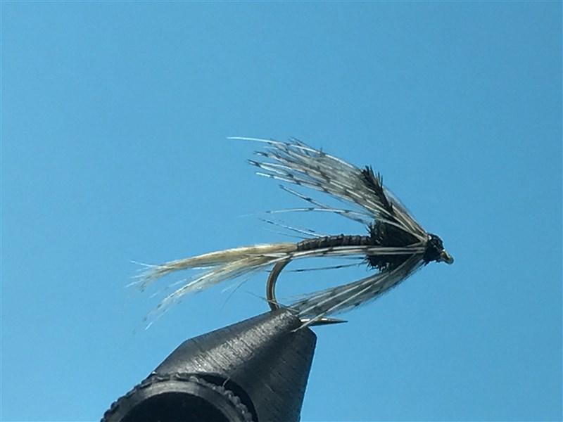 AP Emerger Tan - The Trout Spot