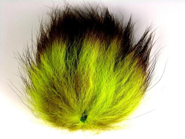 Arctic Fox - The Trout Spot