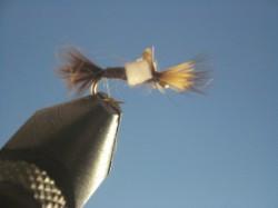 Baetis Foam Cripple - The Trout Spot