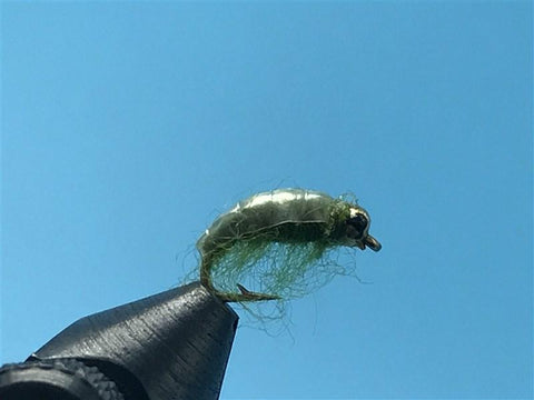 Beadhead Big Grub - The Trout Spot