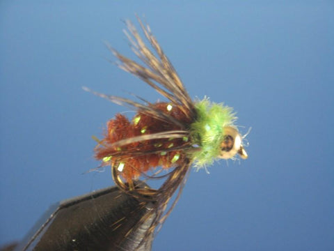Beadhead Circus Caddis Chartruese - The Trout Spot