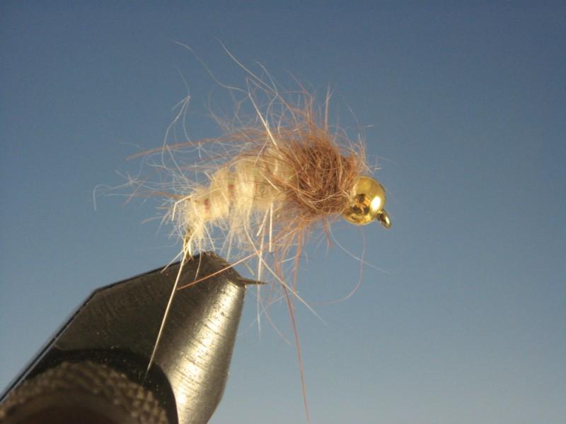 Beadhead Crystal Caddis Larva - The Trout Spot