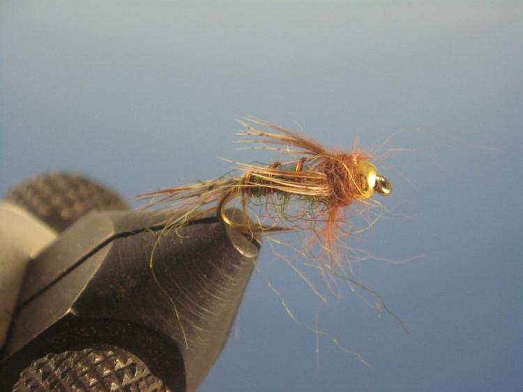 Beadhead Flashback Caddis Olive Hares Ear - The Trout Spot