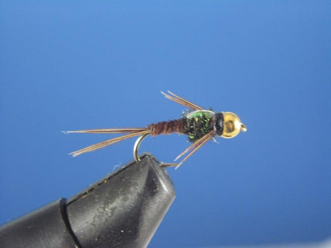 Beadhead Flashback Pheasant Tail - The Trout Spot