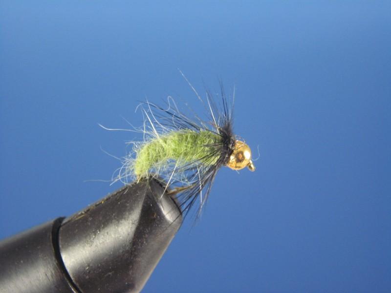 Beadhead Flying Circus Caddis - The Trout Spot