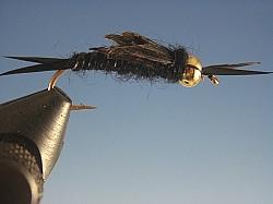 Beadhead Kaufman Black Stonefly - The Trout Spot