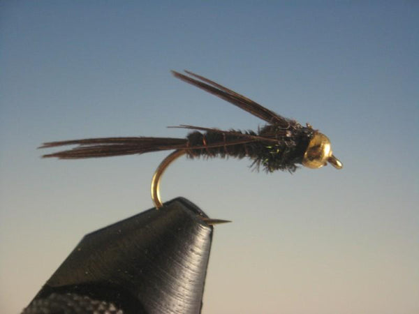 Beadhead Pheasant Tail Nymph - The Trout Spot