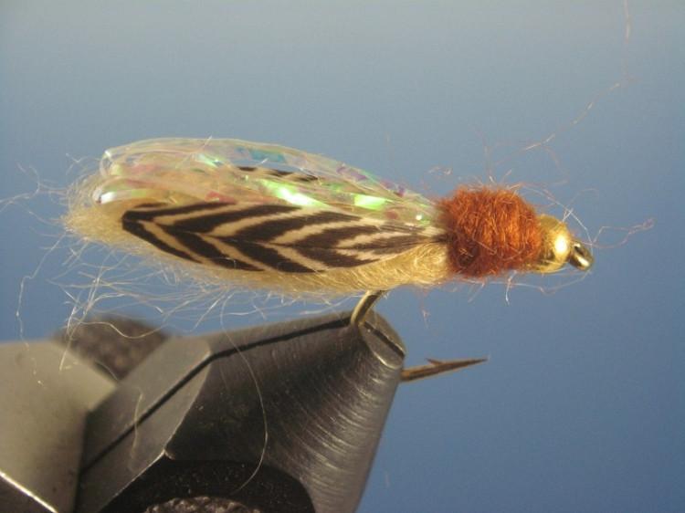 Beadhead Tan Caddis Flashback - The Trout Spot