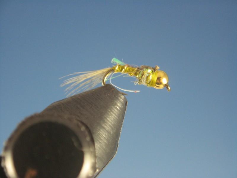Beadhead Tiny Tailwater Gold - The Trout Spot