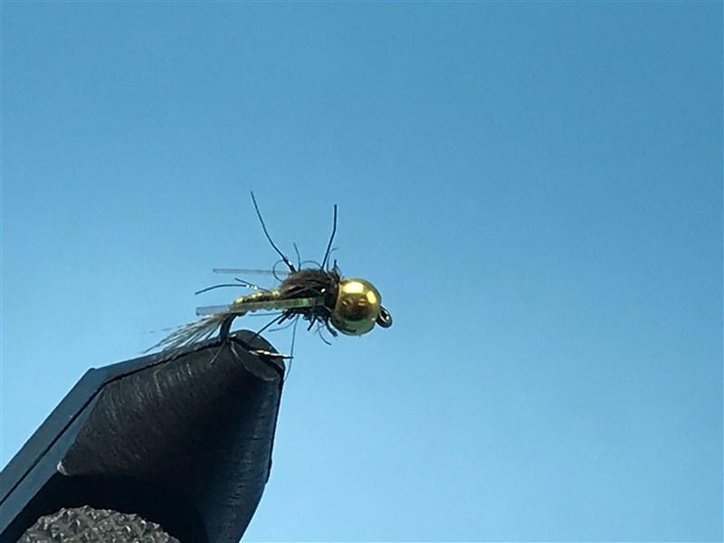 Beadhead Tiny Tailwater Olive - The Trout Spot