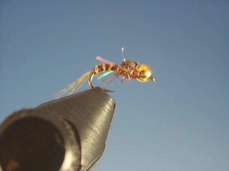 Beadhead Tiny Tailwater Rust - The Trout Spot