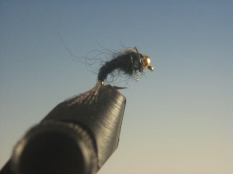 Beadhead WD-40 Black - The Trout Spot