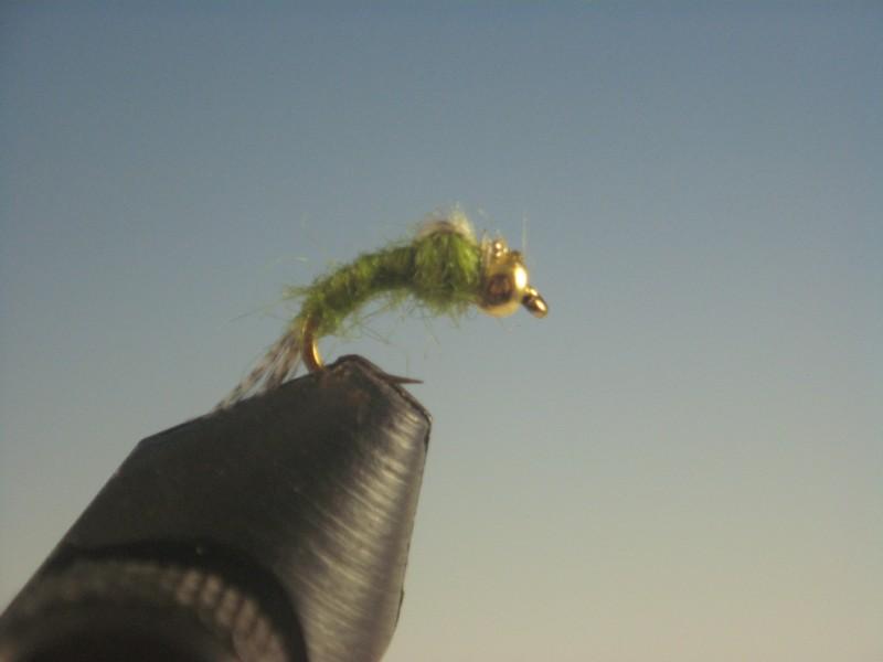 Beadhead WD-40 Olive - The Trout Spot