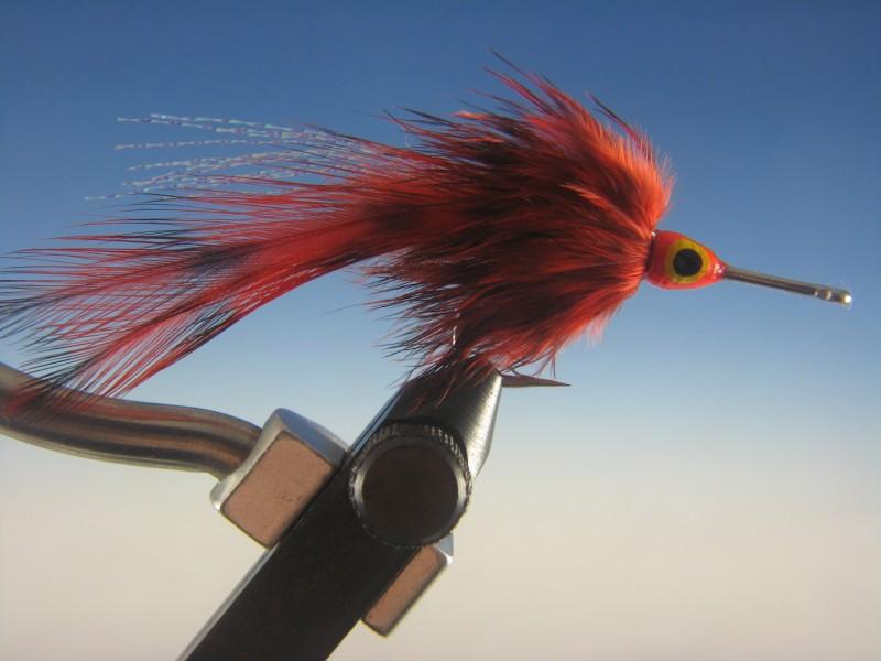 Big Eye Tarpon Fly Orange and Grizzly - The Trout Spot