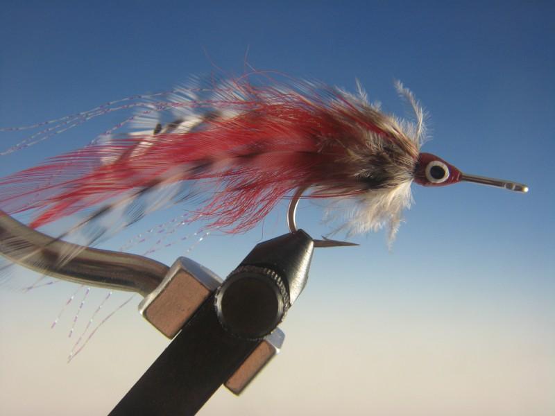 Big Eye Tarpon Fly Red and Grizzly - The Trout Spot