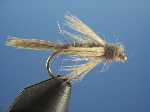 Birds Nest - The Trout Spot