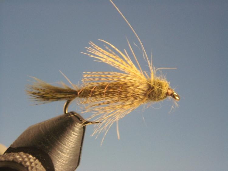 Birds Nest Olive - The Trout Spot