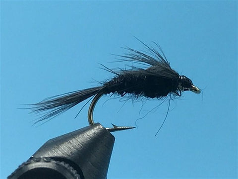 Black AP Nymph - The Trout Spot