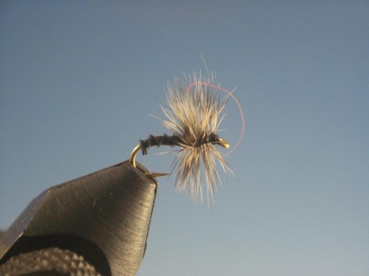 Black Biot Midge - The Trout Spot
