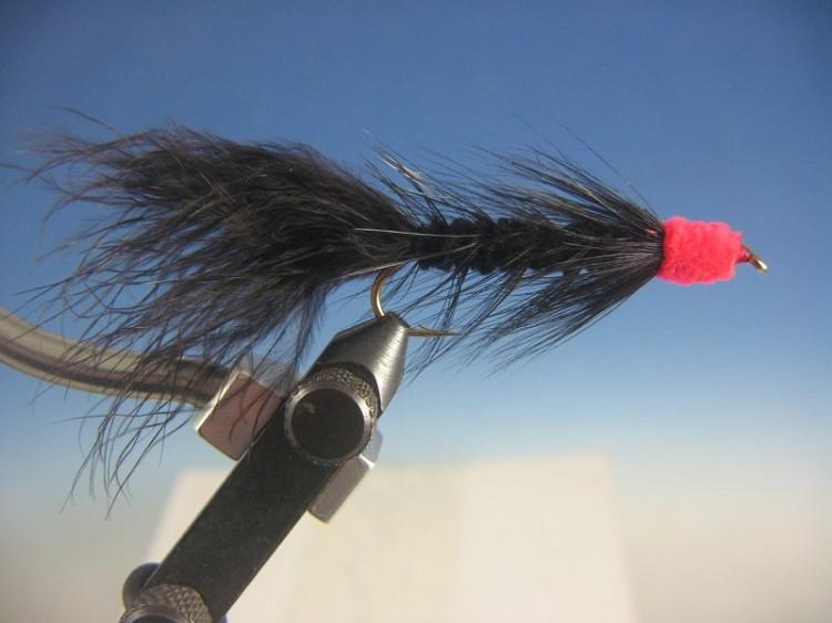 Black Egg Sucking Leech - The Trout Spot