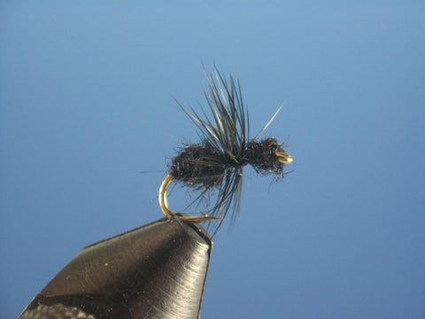 Black Fur Ant - The Trout Spot