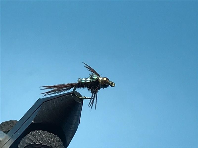 Black Nickel Tungsten Nymph Head Flashback Pheasant Tail - The Trout Spot