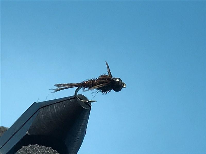 Black Nickel Tungsten Nymph Head Pheasant Tail - The Trout Spot