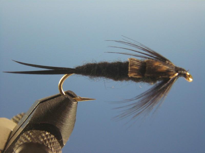 Black Stone Fly - The Trout Spot