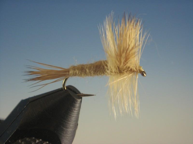 Blond Wulff - The Trout Spot